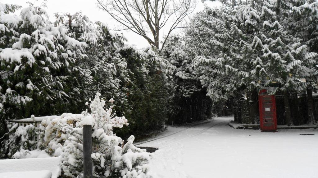 Coach House Cottage Bournemouth Bilik gambar